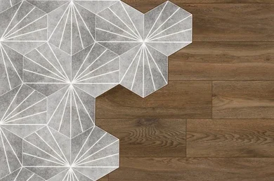 The Polygonal Pattern tile to wood floor transition idea