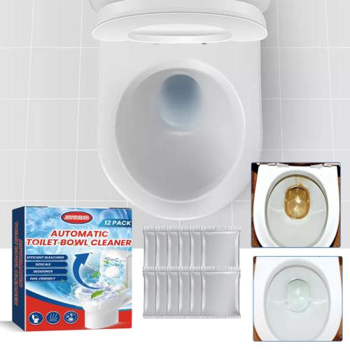automatic-toilet-bowl-cleaner1