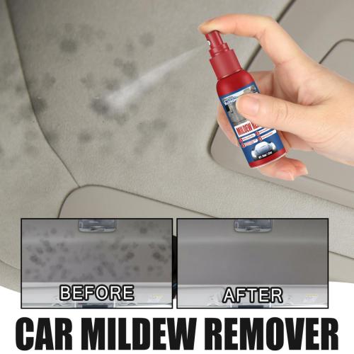 car-mildew-stain-remover-spray1