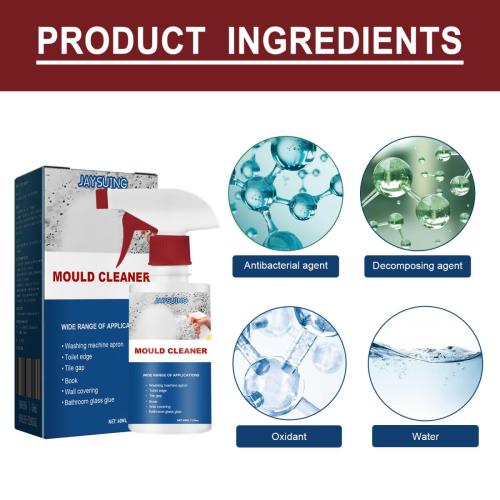effective-mould-cleaner-spray2