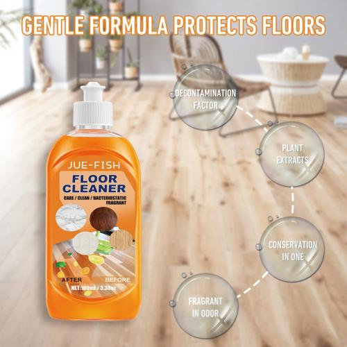 floor-cleaner5