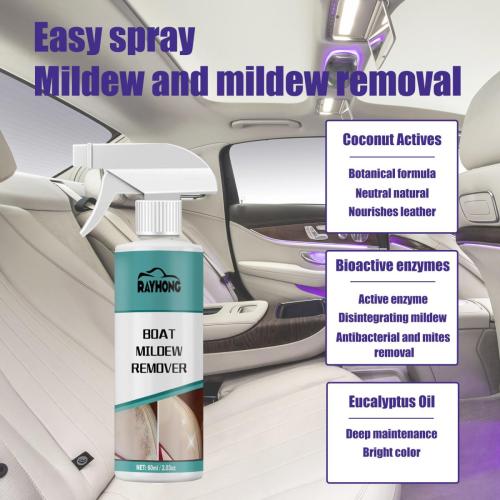 mildew-removal-in-the-car1