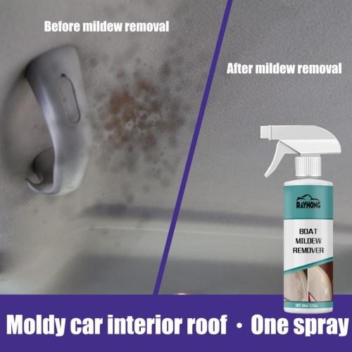 mildew-removal-in-the-car10