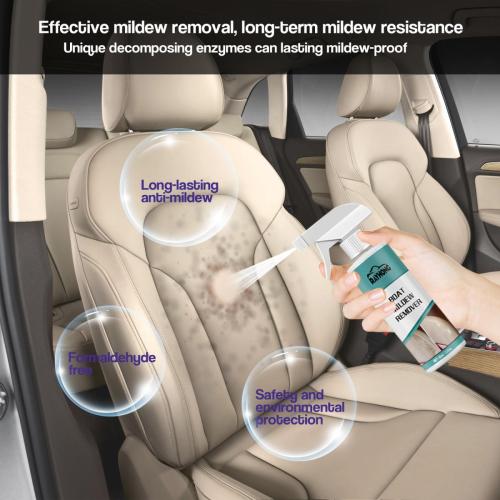mildew-removal-in-the-car11