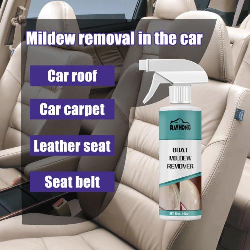 mildew-removal-in-the-car2