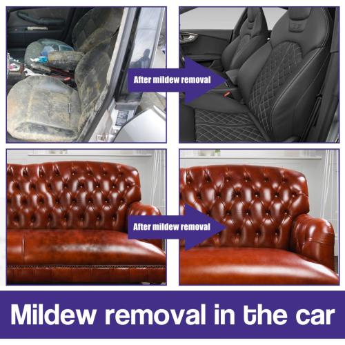 mildew-removal-in-the-car3